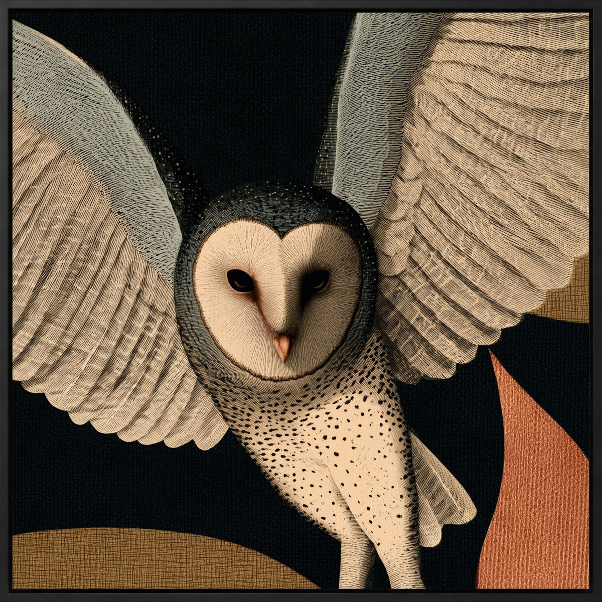 Barn Owl in Flight