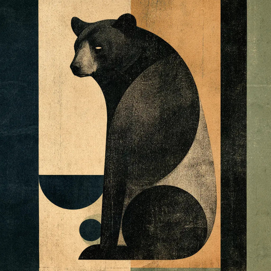 Black Bear Arc — the artwork