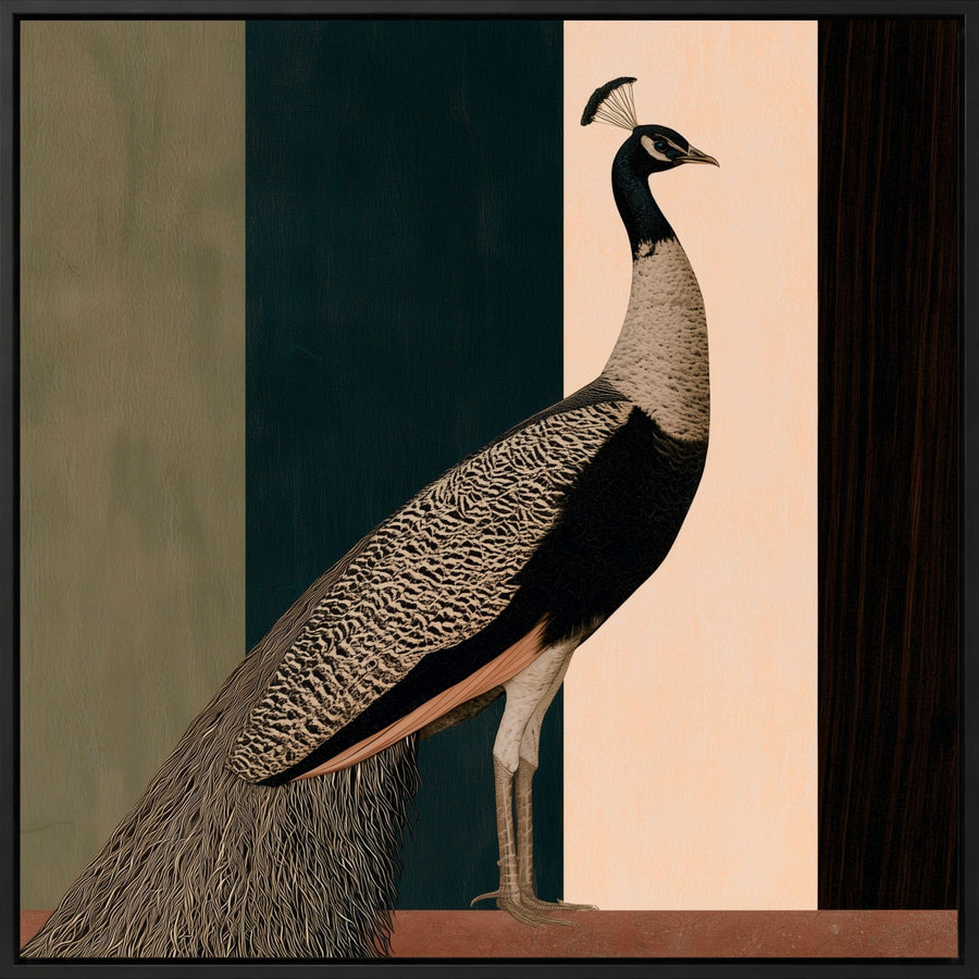 Quiet Peafowl